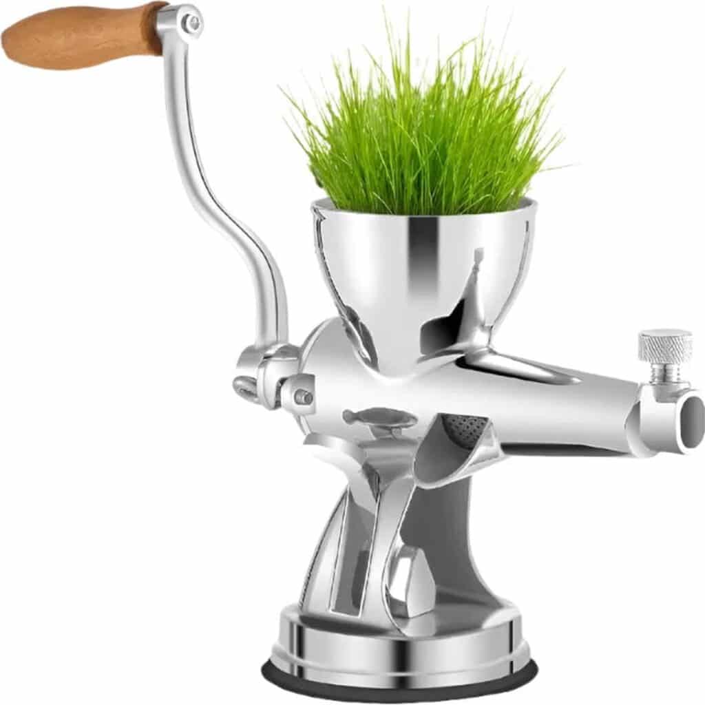 RVS handmatige slowjuicer met gras.