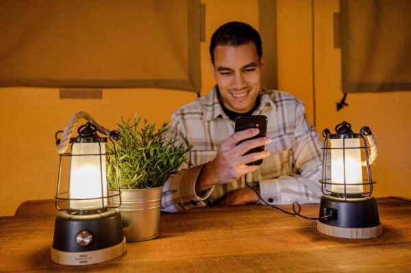 Man leest telefoon naast twee lampen en plant.