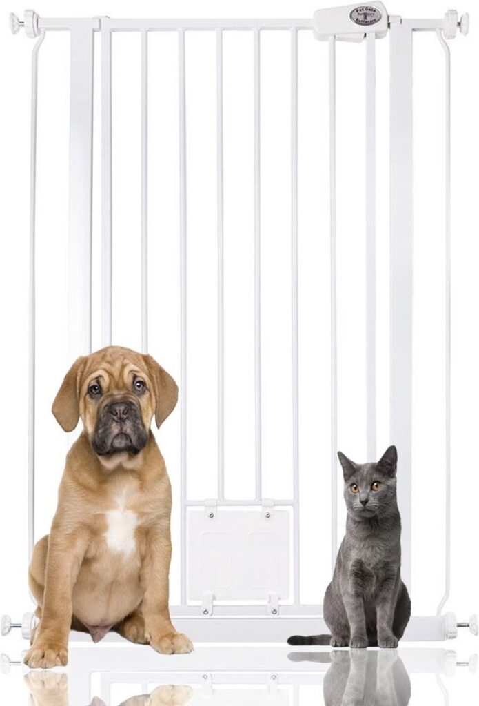 Hond en kat bij veiligheidshek