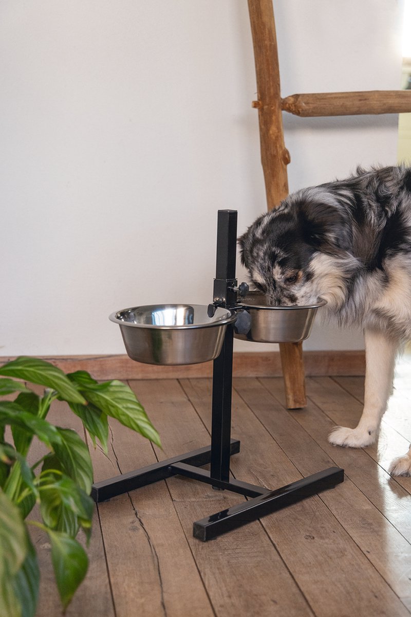 Hond drinkt water uit dubbele metalen voederschaal.