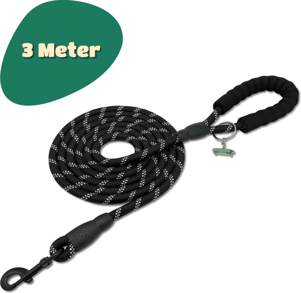 3-meter black dog leash with clip