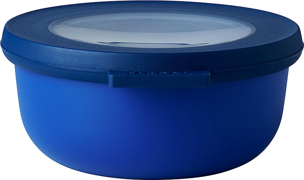 Blue plastic bowl with lid
