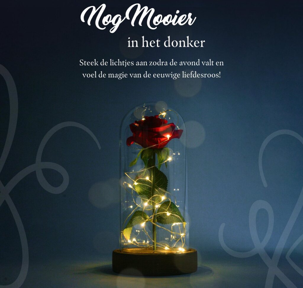 Red rose under a glass dome with lights