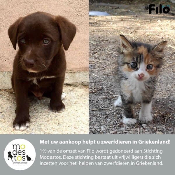 Bruine puppy en driekleurige kitten voor hulpactie Griekenland.