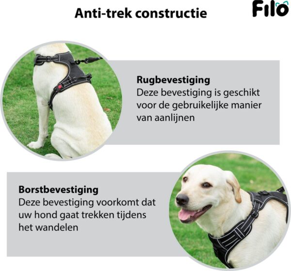 Hond met anti-trek harnas, rug- en borstbevestiging.