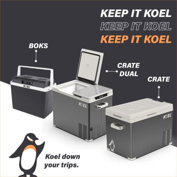 Drie Koelboxen: Boks, Crate Dual, Crate, met pinguïn.