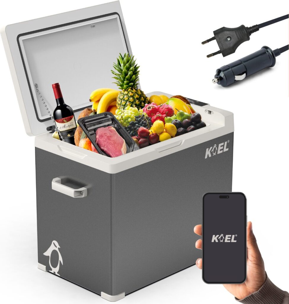 Draagbare koelbox met eten en drinken, stekkers en smartphone.