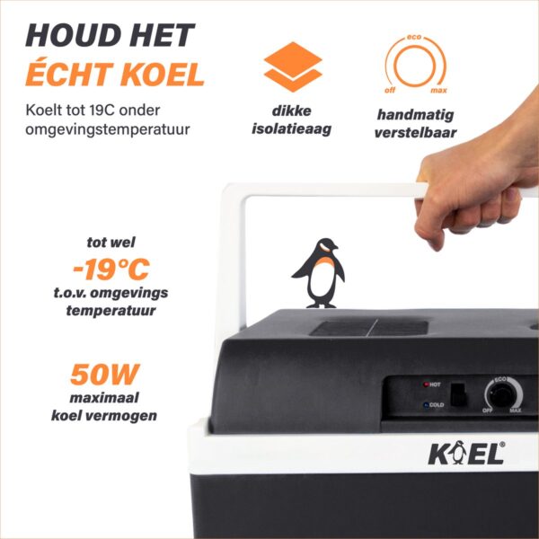 Koelbox met handvat en pinguïn, tot -19°C koeling.