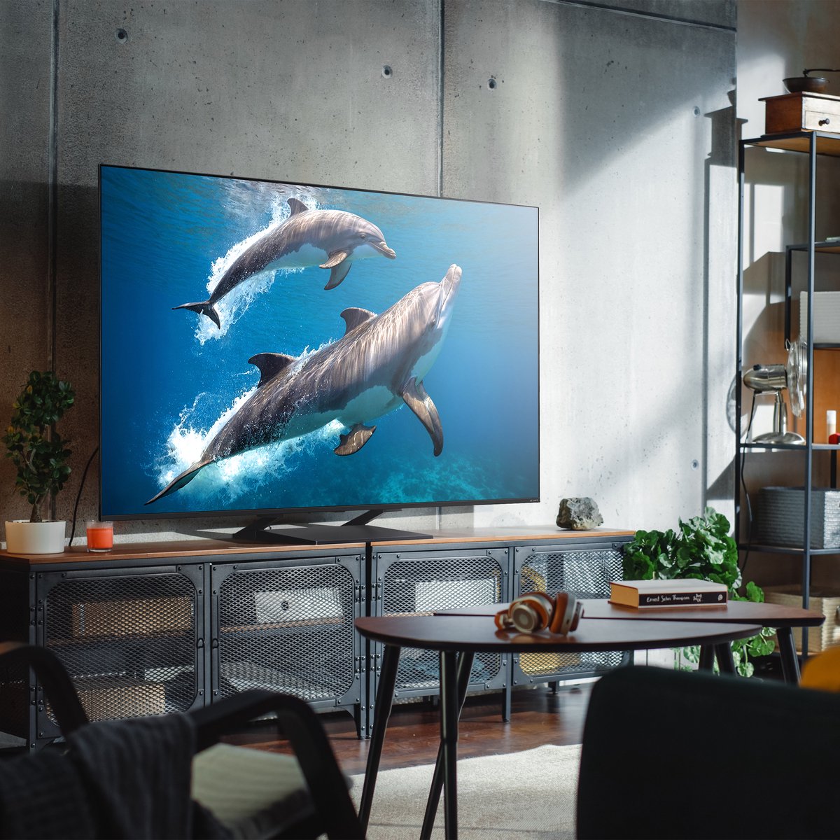 Grote tv met dolfijnen in moderne woonkamer